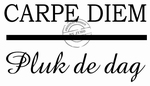 Muursticker Carpe diem